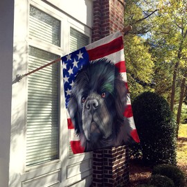 Caroline's Treasures CK6626CHF Newfoundland Dog American Flag House Flag Large Porch Sleeve Pole Decorative Outside Yard Banner Artwork Wall Hanging, Polyester, House Size, Multicolor