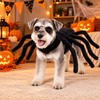 Halloween Spider Pet Costume for Cats & Dogs – Funny