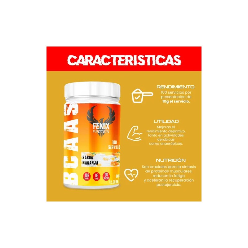 Fenix Protein Bcaas Amino 1kg 100 Servicios
