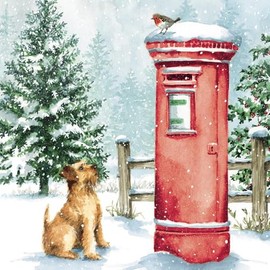 GBCC Charity Christmas Cards Pack of 6 - Charity Christmas Cards 2024 with Dog, Robin and Postbox Design - Eco-Friendly Xmas Cards Multipack with Envelopes