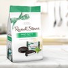 Russell Stover Mint Patty Mini Gusset Bag, 6 Ounce Bag
