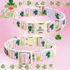 Lionheart glory Lionheart glory St. Patrick's Day Dog Collar-Lucky Clover