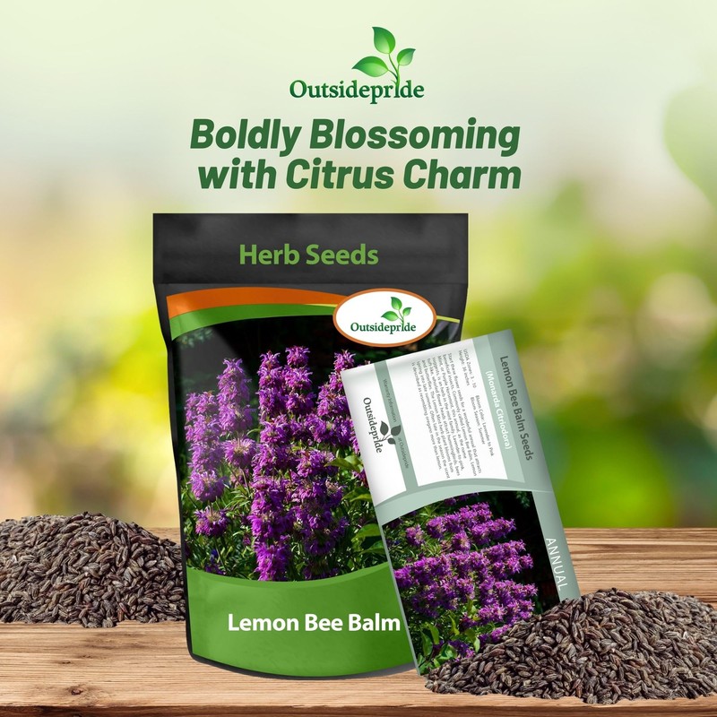 Outsidepride Lemon Bee Balm Seeds - 5000 Pcs Annual, Easy