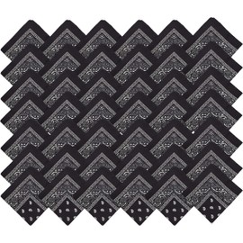 Winterlace 48 Pack Bandanas, Unisex One-Sided Print Paisley Retro Head Wrap Necktie Face Cover Bulk