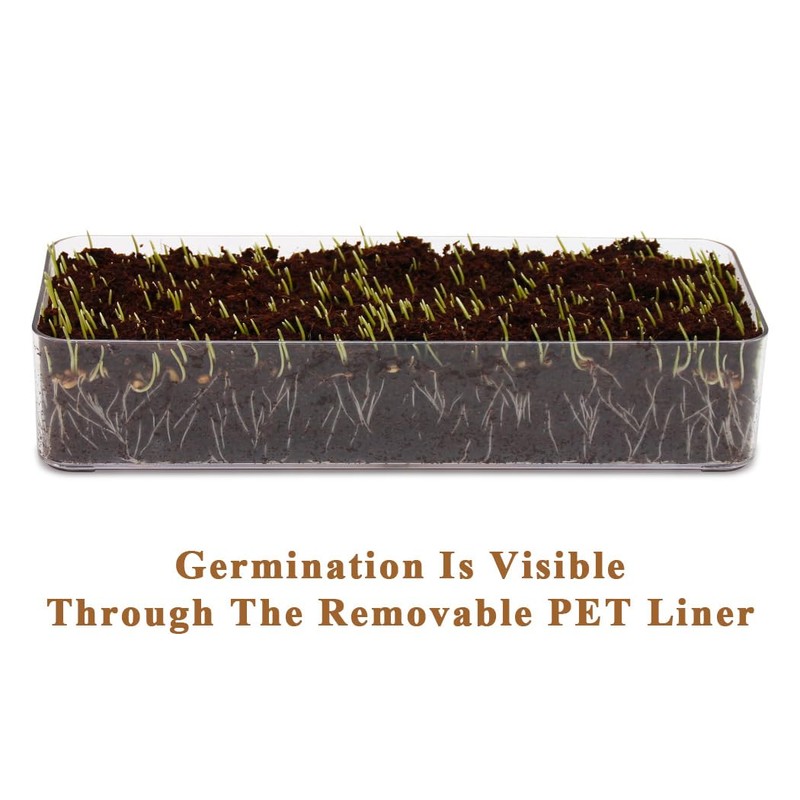 BENPIN Wooden Cat Grass Planter (no Seeds Included) with Potting