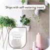 PlantPod Luxe - Self-Watering Wall Planters (Set of 6) -
