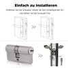 Brass Lock Cylinder 30/30 with 5 Brass Keys, Profile Double
