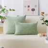 Home Brilliant Sage Green Rectangle Spring Pillow Covers 12x20 Lumbar