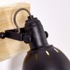 Tina Ceiling Light in Various Designs