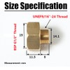 Brass Thread Pipe Adapter Fitting, EU G1/2" Female Thread to