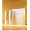 Nature Republic Ginseng Royal Silk Skincare Set (2 Items)