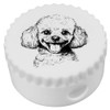 'Toy Poodle Portrait' Compact Pencil Sharpener (PS00045964)