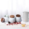 Koolkatkoo Ceramic Cat Canister Set Coffee Tea Sugar Food Storage