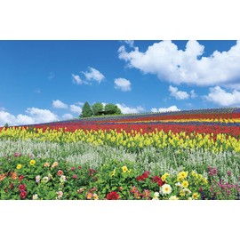 1000 Piece Jigsaw Puzzle (Hokkaido), 19.7 x 29.5 inches (50 x 75 cm)
