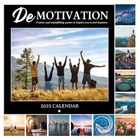 2025 calendar -12 Monthly Square Wall Calendar 2025, January - December 2025, 11.53'' x 10.11'', 2025 Wall Calendar, Demotivation, Demotivational Funny Silly Gift
