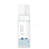 Round Lab 1025 Dokdo Bubble Cleansing Foam 150ml 1ea (LC)