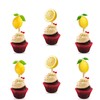 Seyal® Lemon Cupcake Topper