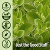 Nature's Answer | Oil of Oregano, 1 Oz | Aceite