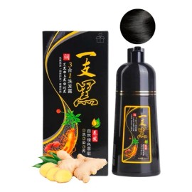 Shampoo Tinte Instantaneo Cubre Canas Natural Jengibre 500ml