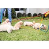 Mad Dog Products Mad Dog Products English Slip Dog Lead