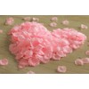 XIANNVXI 1500 PCS Pink Rose Petals,Artificial Faux Fake Silk Pink