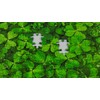 1000 Piece Jigsaw Puzzle with Four Leaf Clover - Impossible