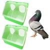 Pigeon Feeder Water 2 Pack Quail Bird Chicken Feeder Water