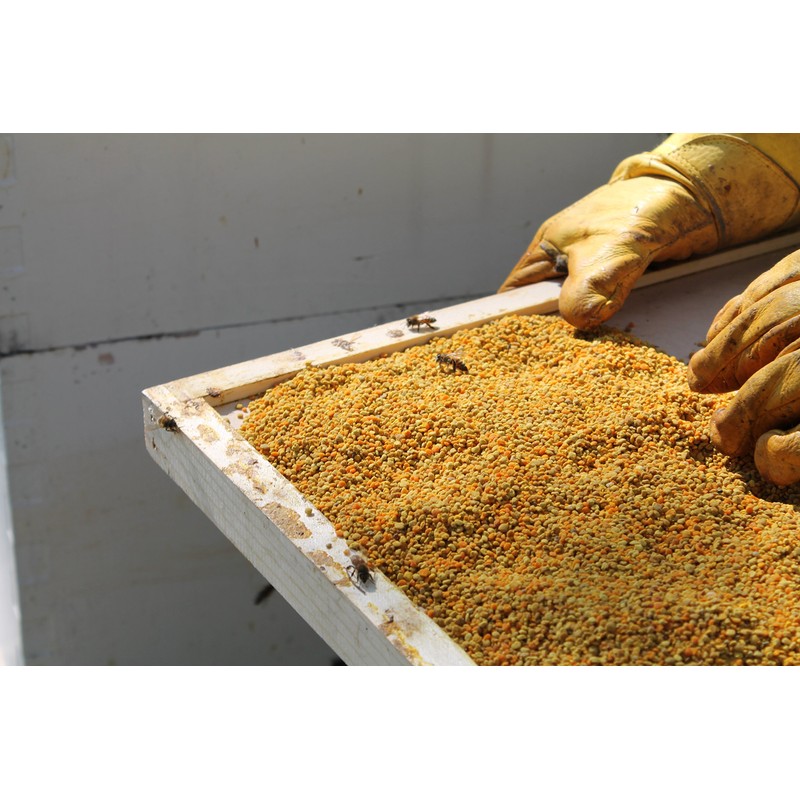 Fresh Bee Pollen Raw Nebraska Bee Pollen 1.5lb Jar
