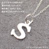 piena Pendant Top, Women's, Men's, Accessory Parts, Made of 925