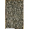 Minimal Land Fresh Large Sunflower Seeds for Squirrel Hamster 200
