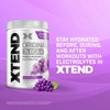 Xtend XTEND Original BCAA Powder 7g BCAA and 2.5g L-Glutamine,