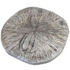 Solid Rock Stoneworks Sand Dollar Stepping Stone- PreAged