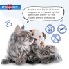 Kennel Cough Relief for Cats & Dogs | Pet Cough
