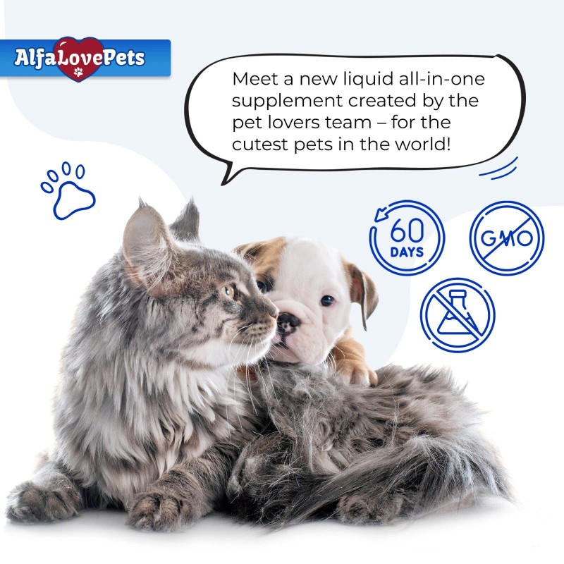 Kennel Cough Relief for Cats & Dogs | Pet Cough