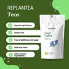 Herbal Tea Organic Good Night 100g (+50 Cups) | SLEEP
