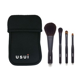 usui 4本セット(ケース付) チーク ・ シャドーM ・ シャドーS ・ アイライナーL ブラシ