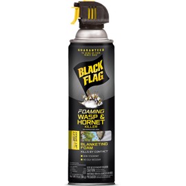 Black Flag Foaming Wasp & Hornet Killer Aerosol Spray, 14-Ounce
