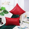 BRAWARM Faux Leather Pillow Covers 22 X 22 Inches, Christmas
