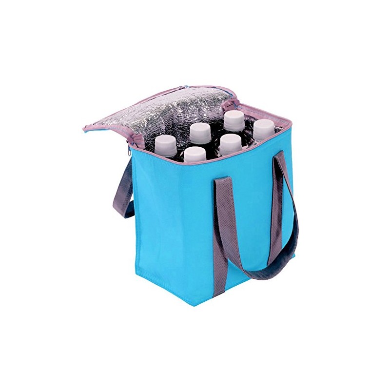 Epios Pop Color Insulated Cooler Bag (Holds 6 16.9 fl