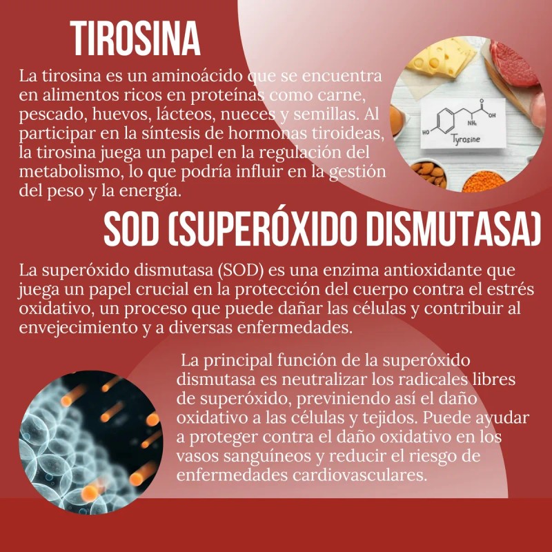 Kit Reductor Abdominal + Lipoenzimas 90 Cápsulas