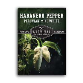 Survival Garden Seeds - Mini White Habanero Pepper Seed for Planting - 1 Packet with Instructions to Plant & Grow Exotic Peruvian Peppers in Your Home Vegetable Garden - Non-GMO Heirloom Variety