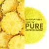 Pineapple Powder - 16 oz | 100% Natural Pineapple Powder