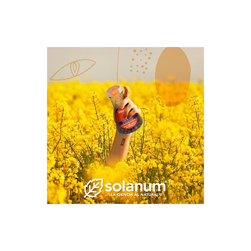 Vitamina C 180 Cápsulas by Solanum