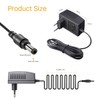 Anlapus 12 V DC 2 A Camera Power Supply Adaptor,