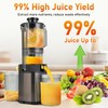 FAB&DELUXE Cold Press Juicer - 34oz Juicer Machines with 4.3"