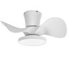 ocioc Quiet Ceiling Fan with LED Light 22 inch Large