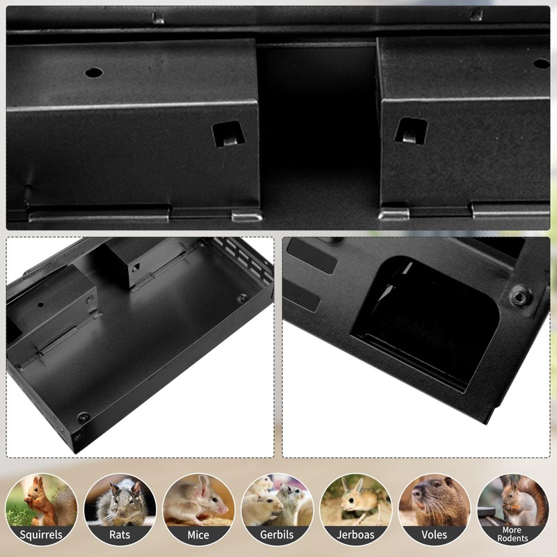 Qualirey 4 Pack Multi Catch Mice Trap Clear Top Humanized