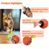 Eiruseed Upgraded Speedy Interactive Cat Ball 4.0 Toys with 2