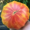 Georgia Streak Heirloom Tomato Premium Seeds for Planting Packet