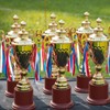 Chunful 1 Pack 3.94 x 3.94 Cherry Wood Base Trophy